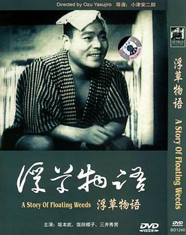 浮草物语DVD中字