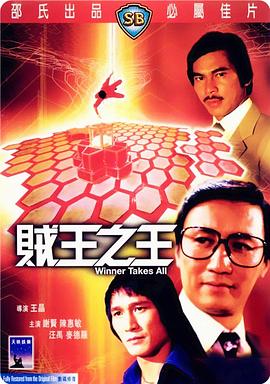 贼王之王1982HD中字