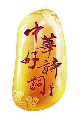 中华好诗词第四季第13集