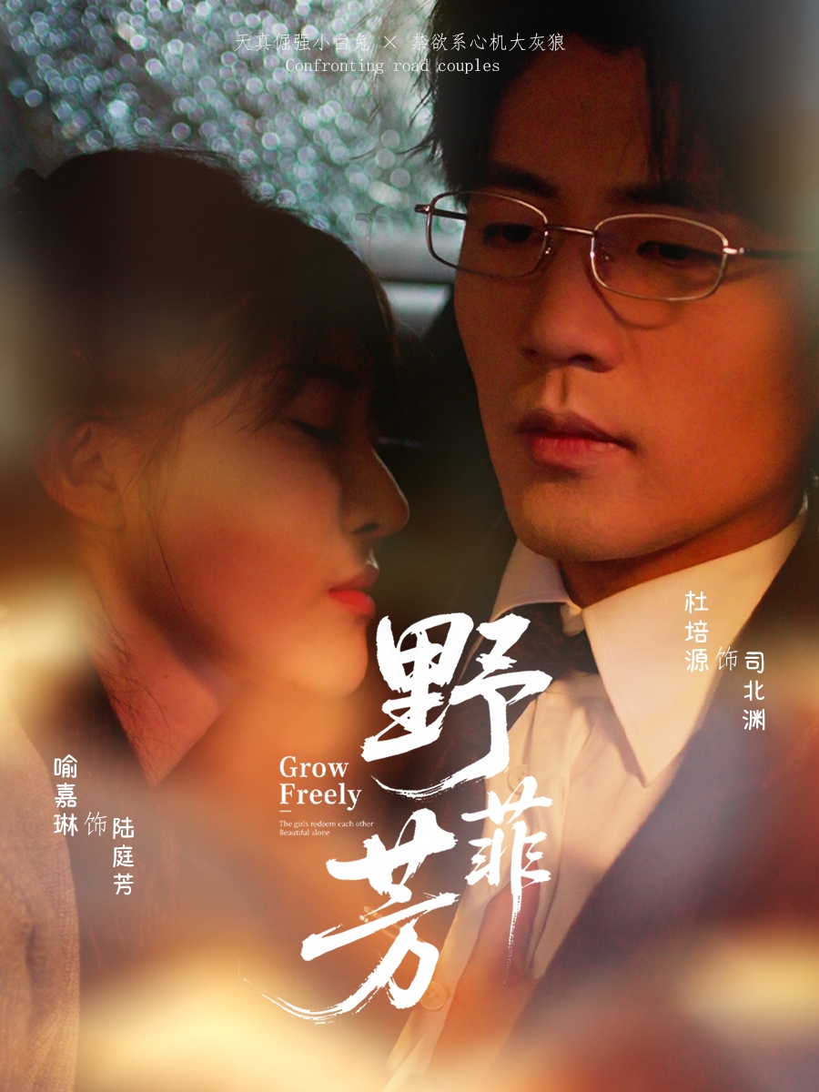 野芳菲第01集