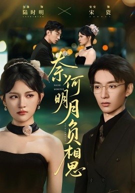 奈何明月负相思第28集