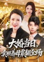 大婚当日，卖桃养母震翻全场第48集