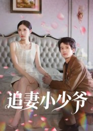 追妻小少爷第28集