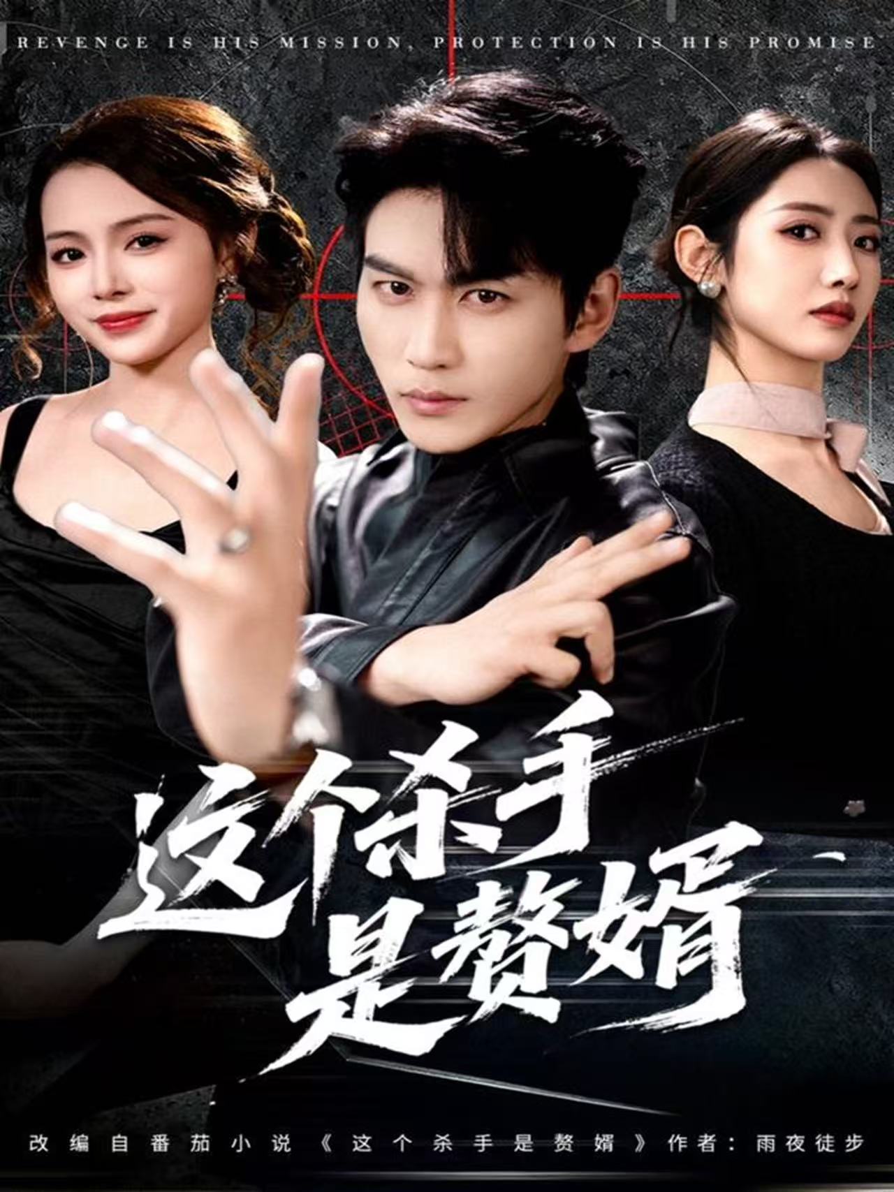 这个杀手是赘婿第36集