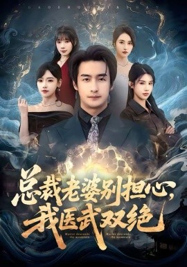总裁老婆别担心，我医武双绝第01集